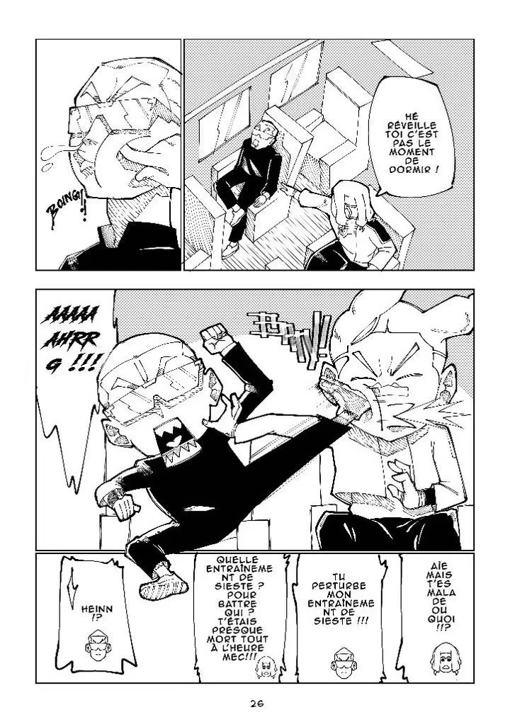Planche 28